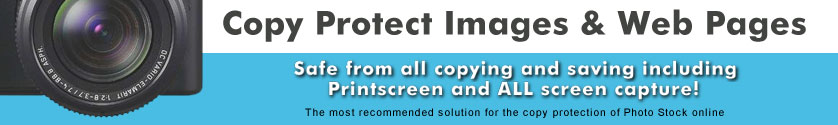 Copy protect images and web pages from all copy